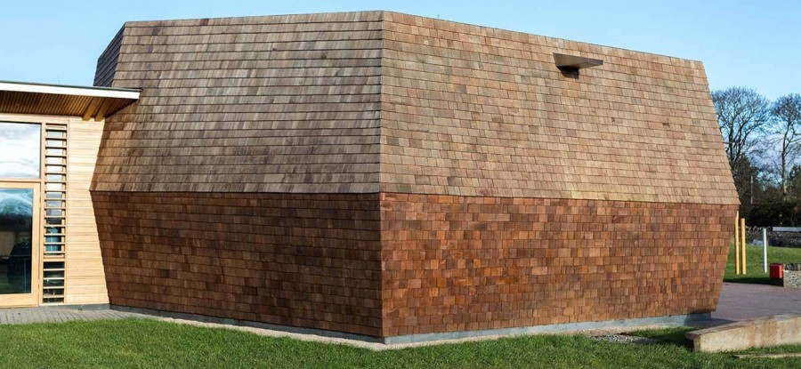 Shingles