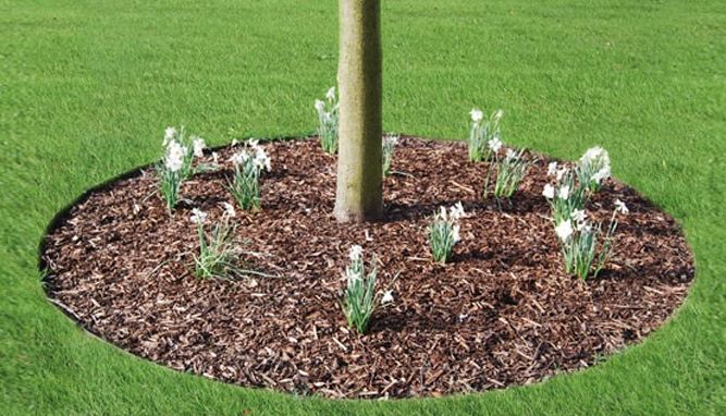 EverEdge Garden Rings