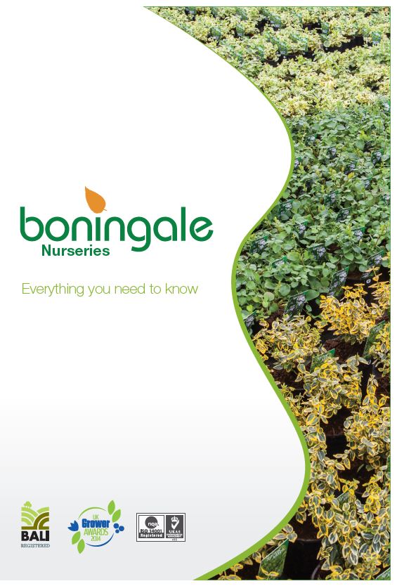 Everything you need to know Brochure