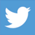 Twitter icon